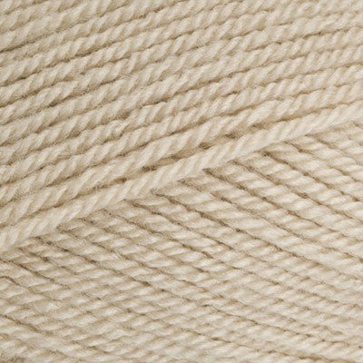 Stylecraft Special DK 100g