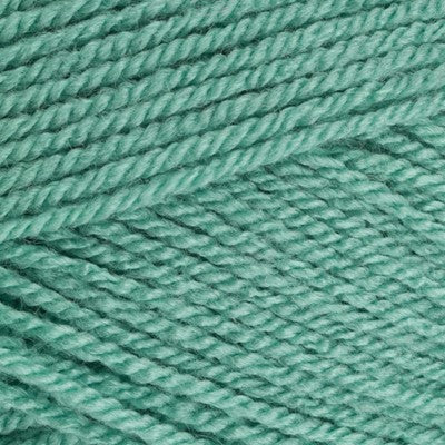 Stylecraft Special DK 100g