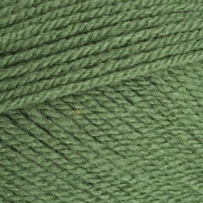 Stylecraft Special DK 100g