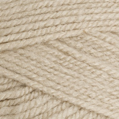 Stylecraft Special Aran 100g