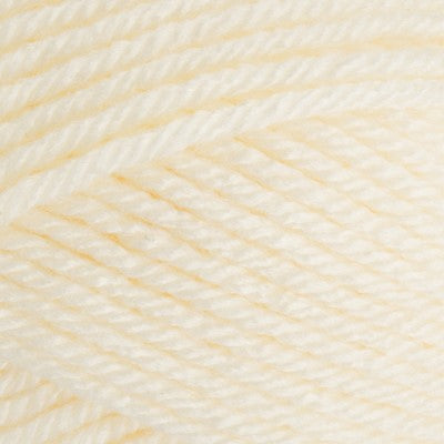 Stylecraft Special Chunky 100g