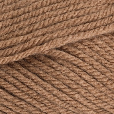 Stylecraft Special Chunky 100g