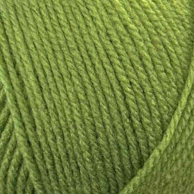 Stylecraft Special DK 100g