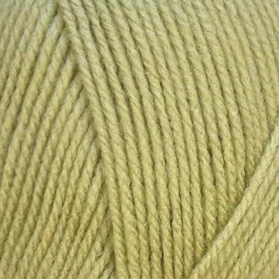Stylecraft Special DK 100g